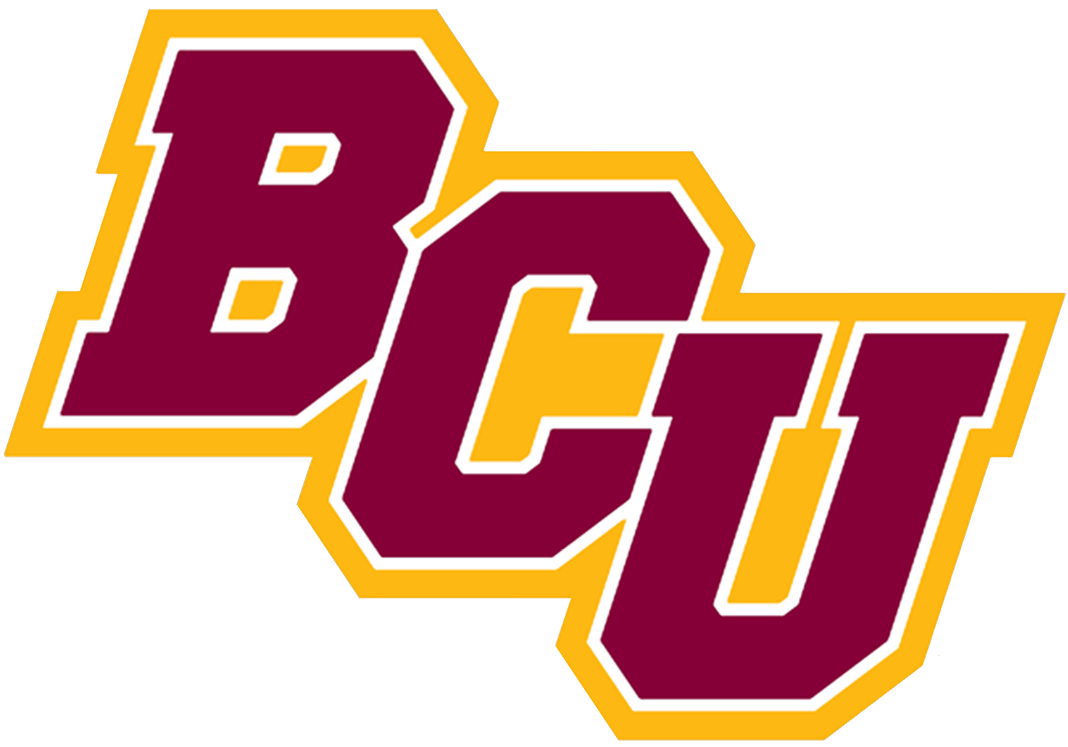 Bethune-Cookman Wildcats 2016-Pres Secondary Logo diy iron on heat transfer